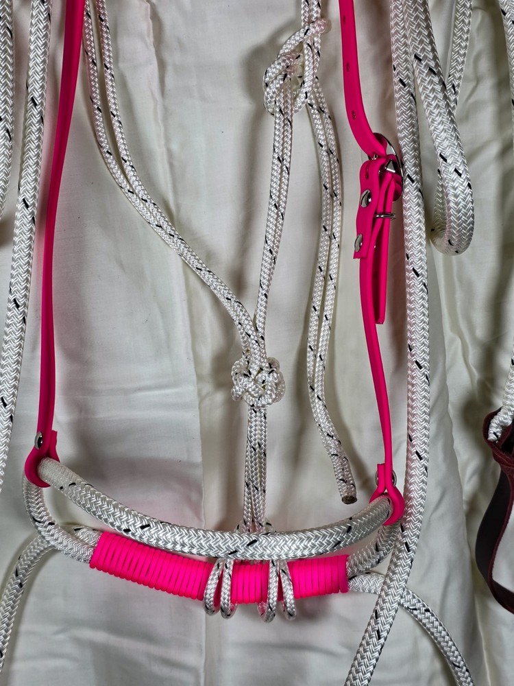 Soft Nose Loping Bridle