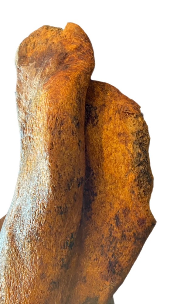 Large, Heavy Fossilized Whale Bone