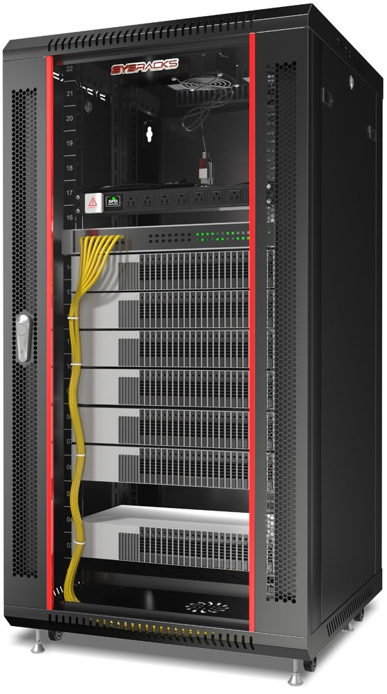 Server Rack 22U Enclosed 24-Inch Deep Cabinet Locking Networking Data Enclosure