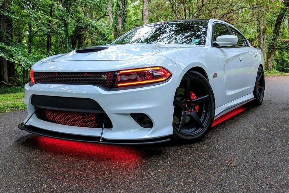 Diode Dynamics Decorative Light Strand | DD0442