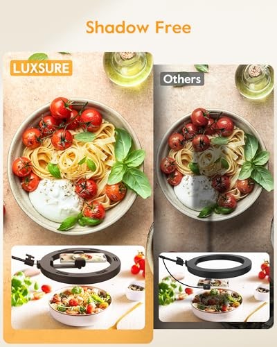 Ring Light with Stand for Desk,Adjustable Overhead Camera Mount with Ring 10"