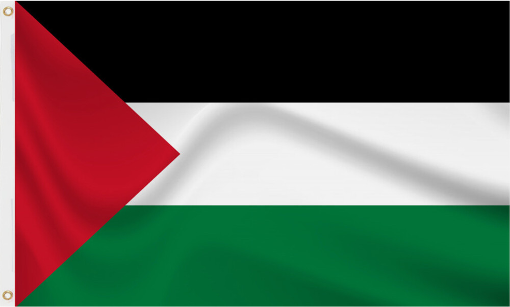 PALESTINE PALESTINIAN FLAG 3FTX2FT FAST DELIVERY SLEEVED QUALITY POLYESTER