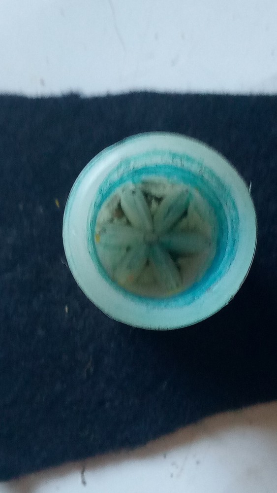 Shotgun Shell Recrimper