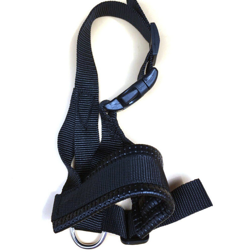 Adjustable Anti-biting Dog Muzzle Safe Collar Muzzle Pet Traction Halter Leash