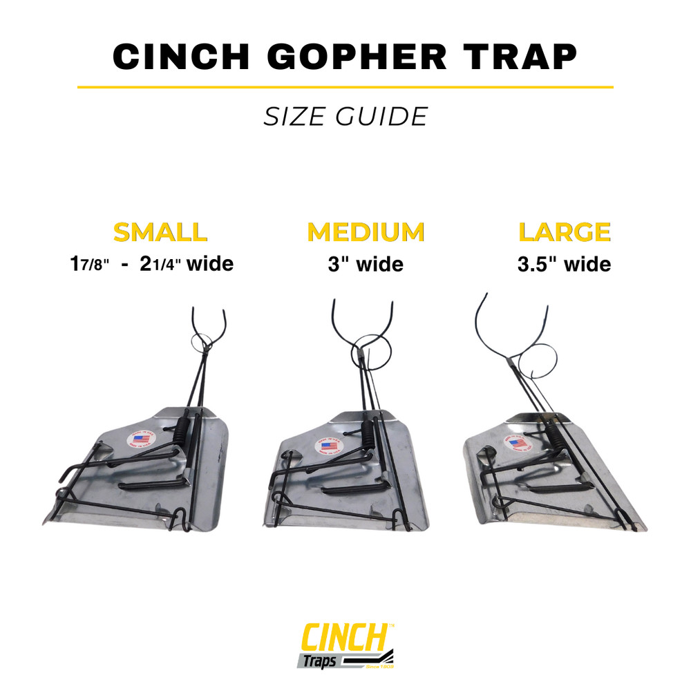 3 small gopher traps Professional-Grade, Heavy-Duty Reusable Trapping System