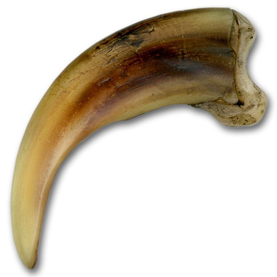 Replica Grizzly Claw - 3.5" #106