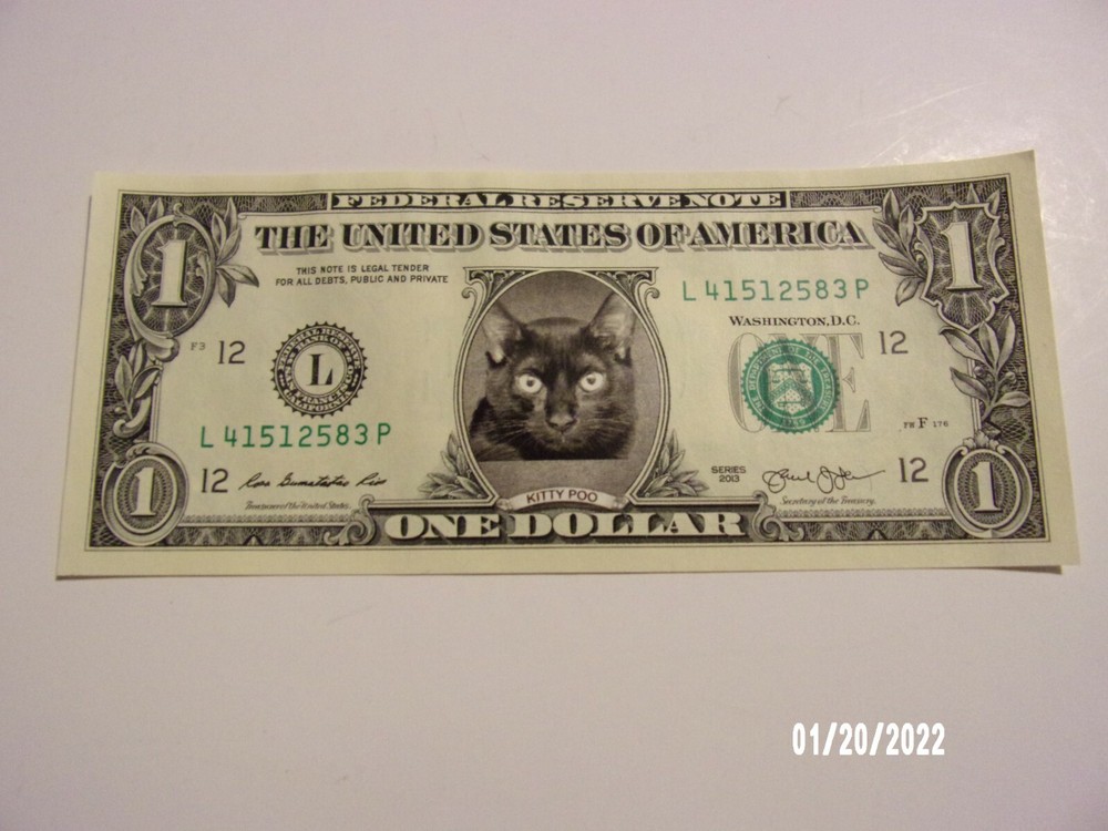 $1.00 Bill Cat Face