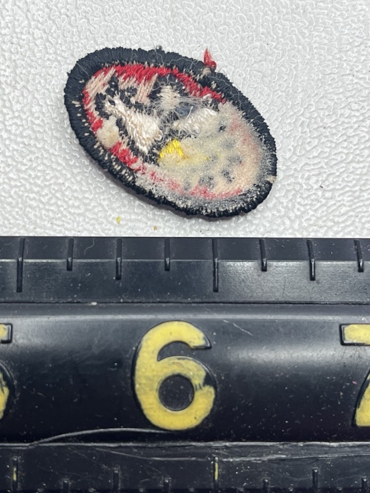 Vtg Itty-Bitty-Tiny I Think ? Tiny Chicken Chick Hatching ? Patch K033