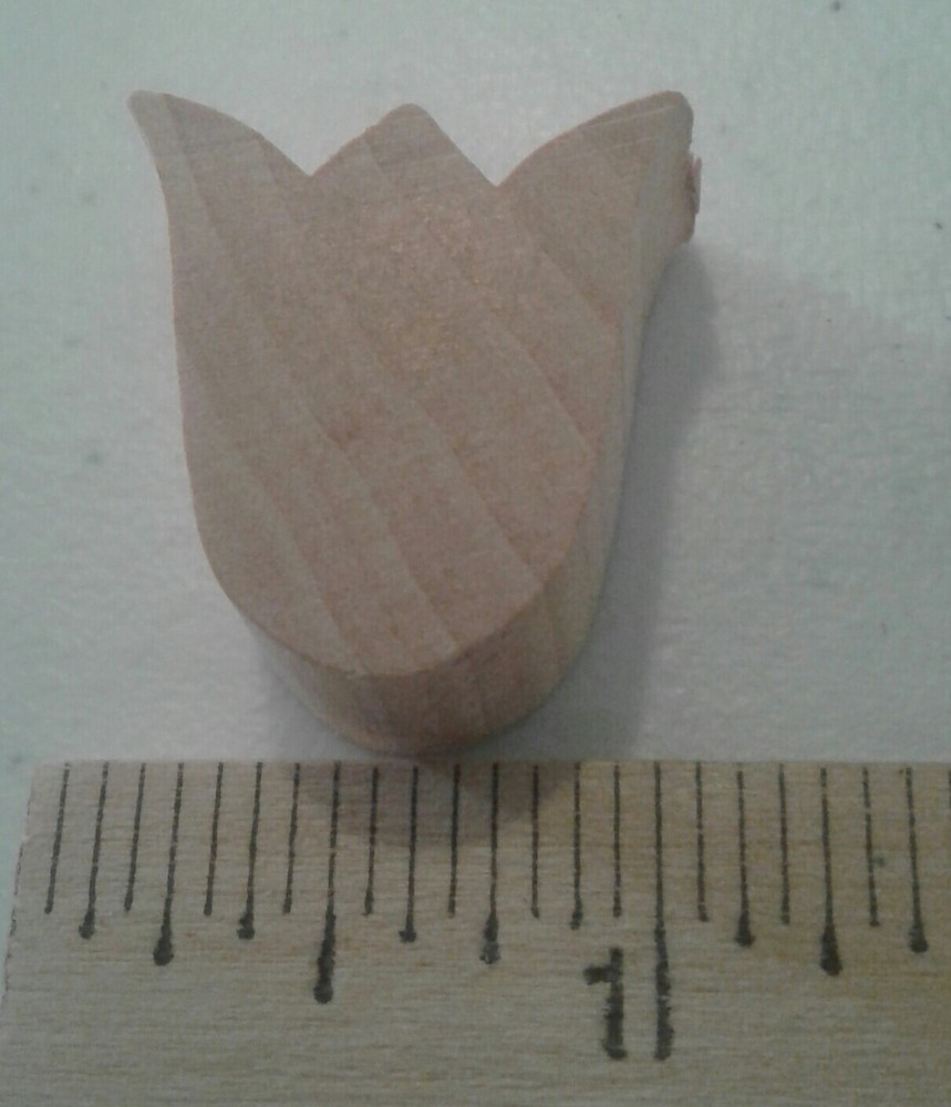 Tulip heads (24)