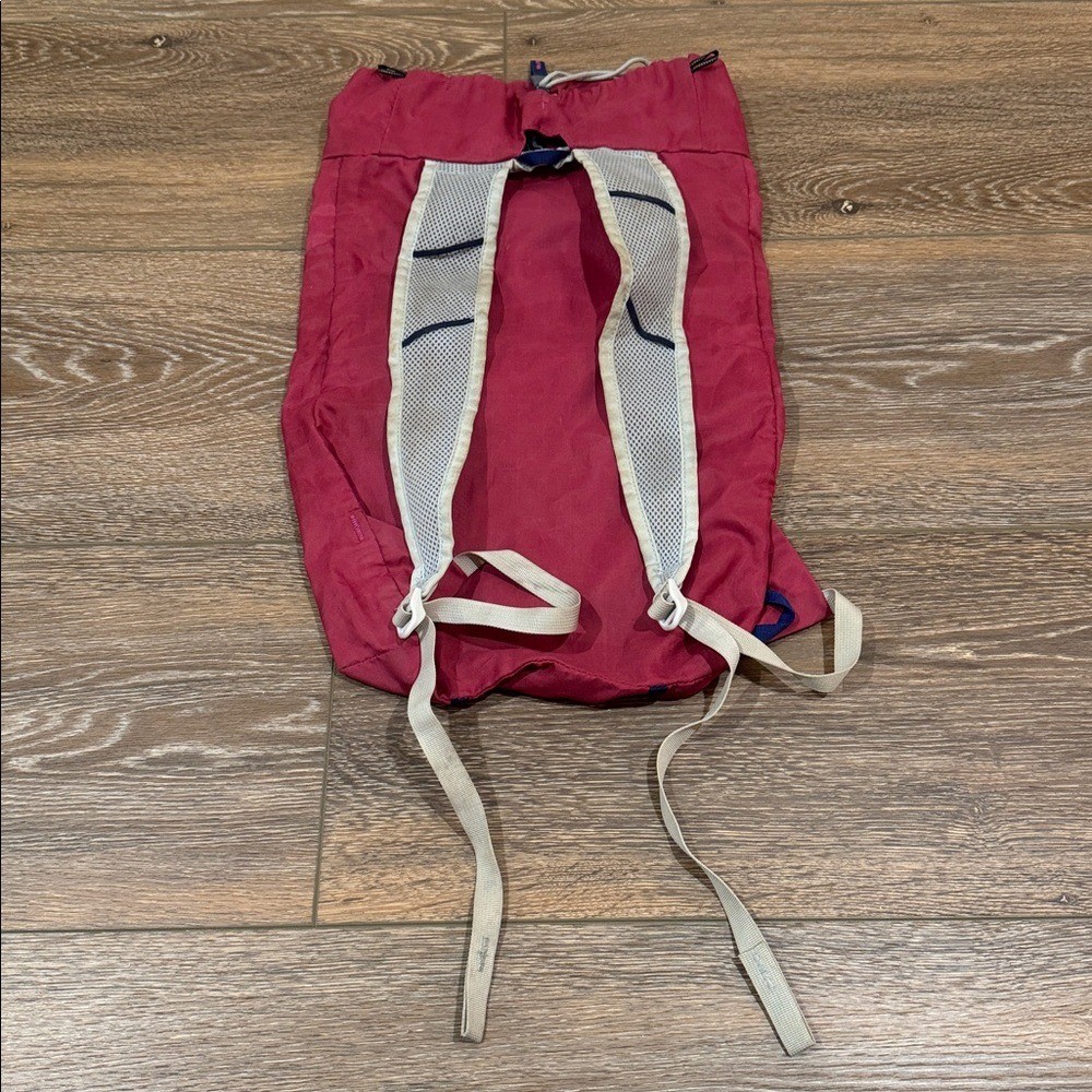 Gregory Pink Day Bag