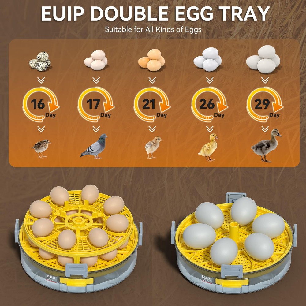 20 Egg Incubator with Auto Rotation, Temperature & Humidity Control
