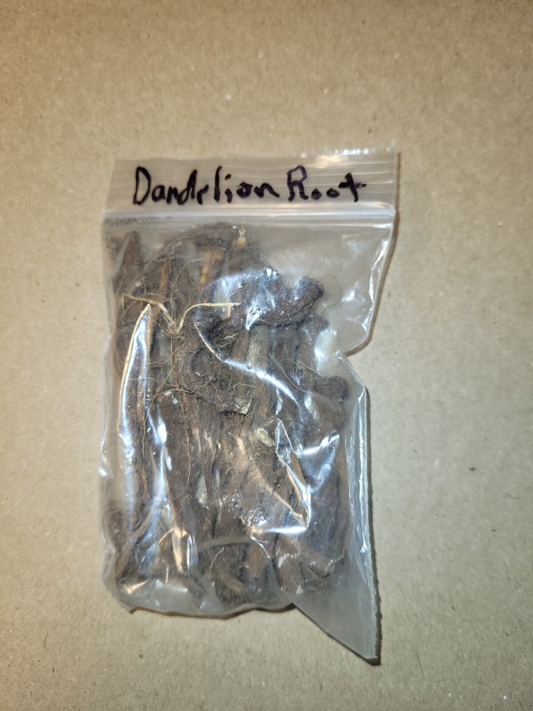 Dandelion Root Magick Medicinal