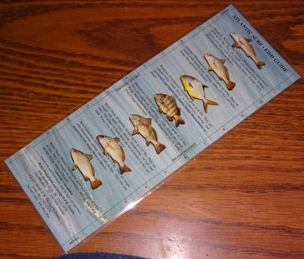 Atlantic Surf - Fish Guide, Species Quick Ref Guide, 12"x5", 2-Sided, Waterproof