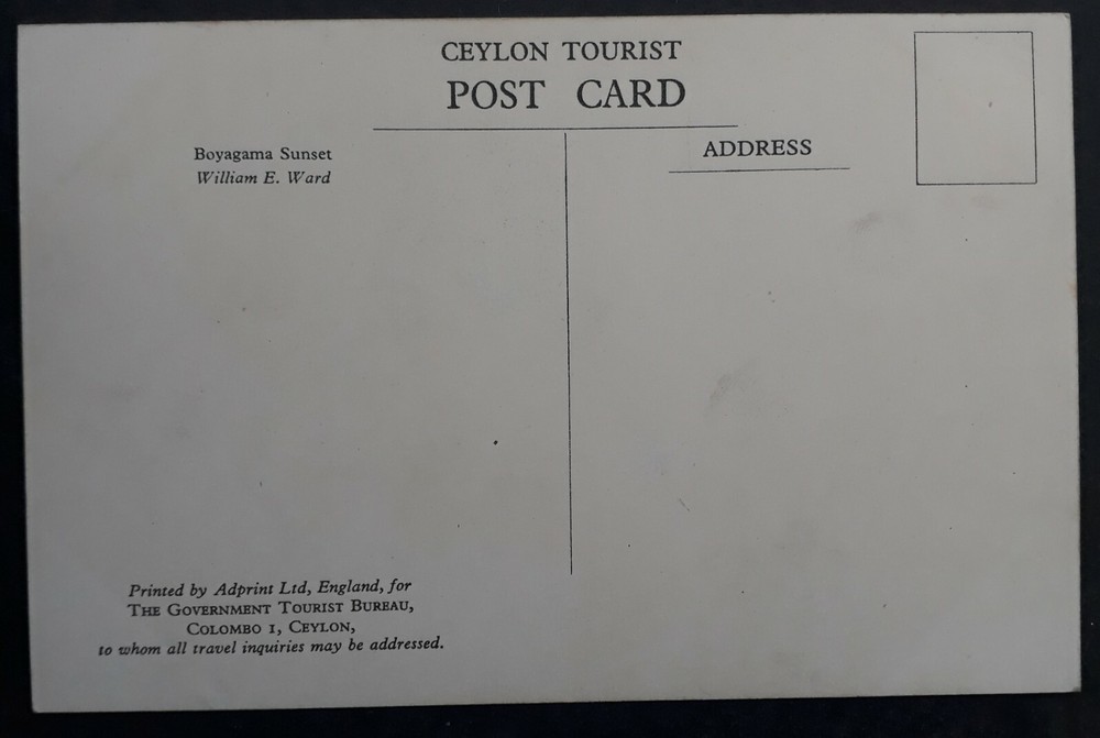 Undated Ceylon Postcard-Boyagama Sunset Unused
