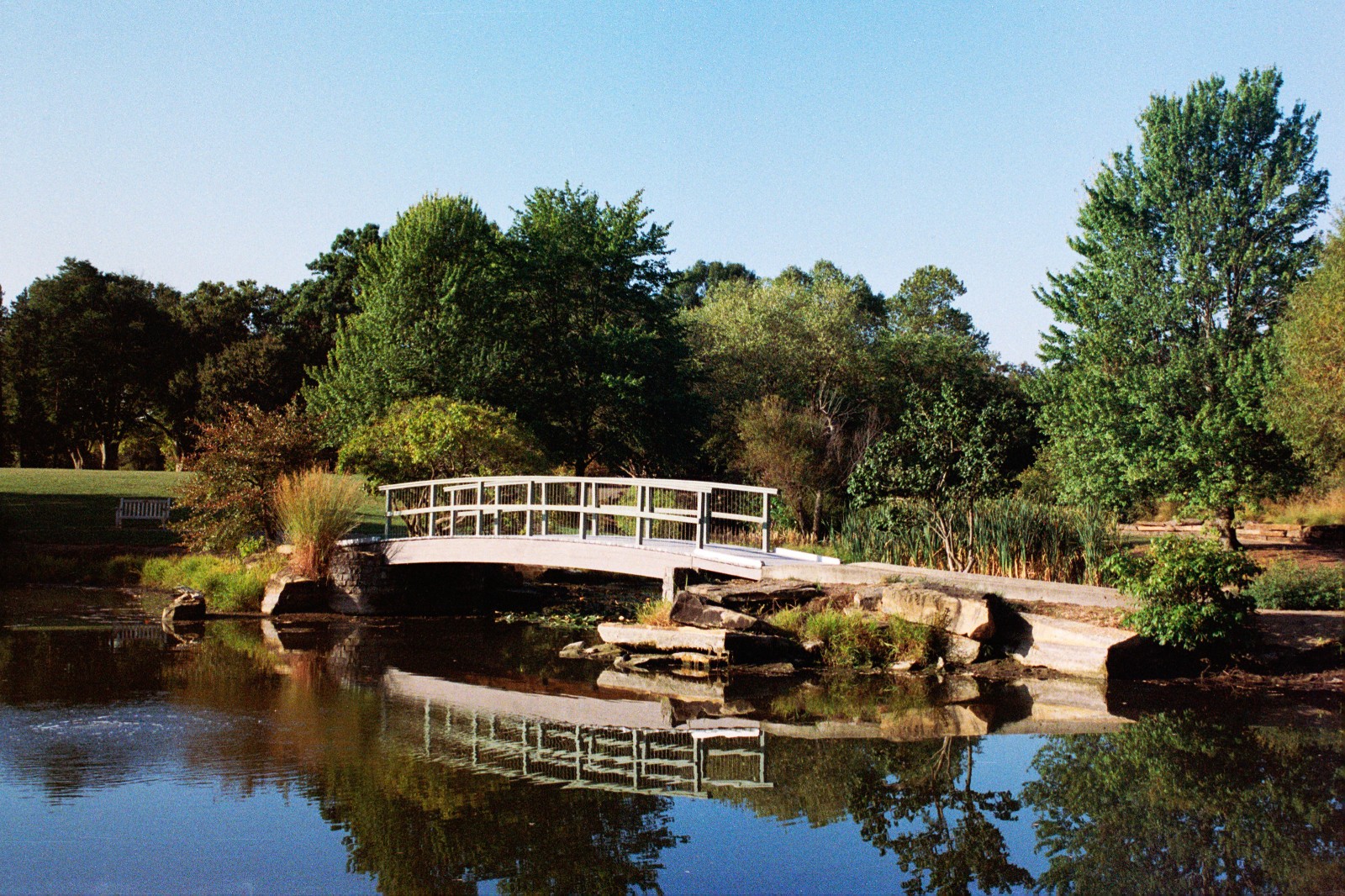 NIGHT ALIEN - 35mm Color Negative High Speed Film 800D - 36 exp C-41 BRAND NEW