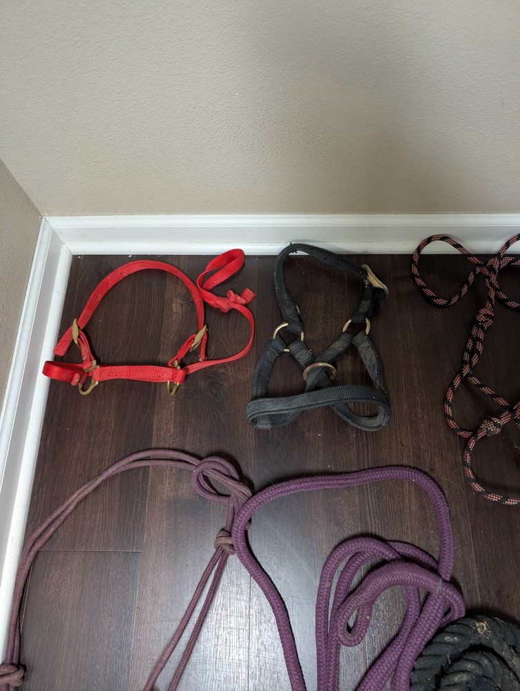Large Tack Lot Over 30 Items!