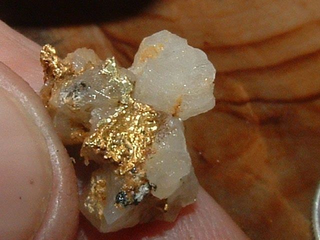 OXIDIZED GOLD QUARTZ SPECIMEN 1.99 GRAMS CALIFORNIA GOLD IN QUARTZ
