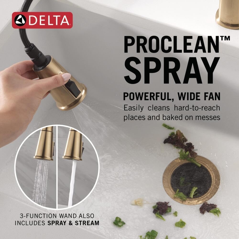 Delta 19730LF-CZ - Kitchen Faucet