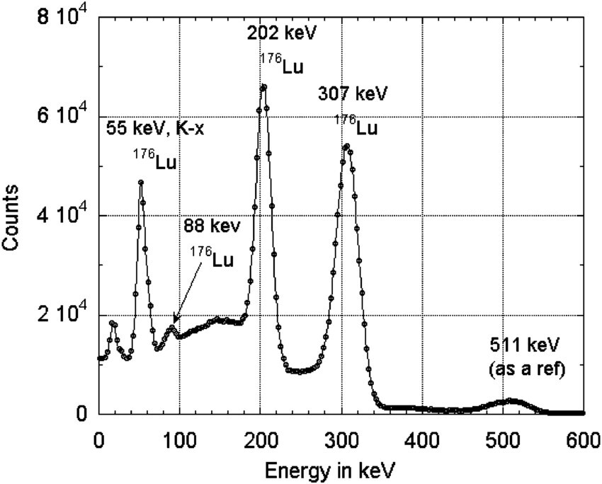 LYSO 2×2 Crystal Array (4 pixels), Gamma Radiation Scintillator.