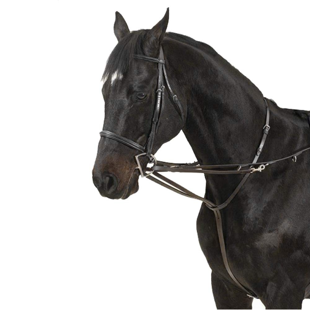German Martingale Rein Black
