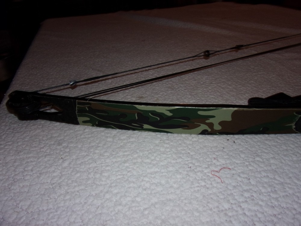 Bear Archery Compound Bow