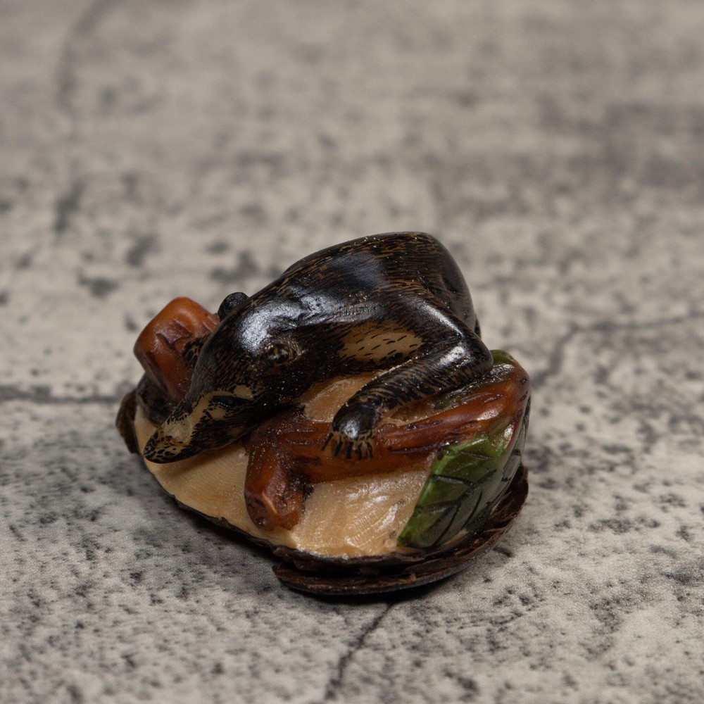 Rainforest Coatimundi Tagua Carving