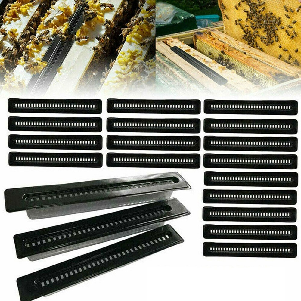 20pcs Plastic Small Bee Hive Beetle Blaster BeeHive Beetle Trap Beekeeping EOB