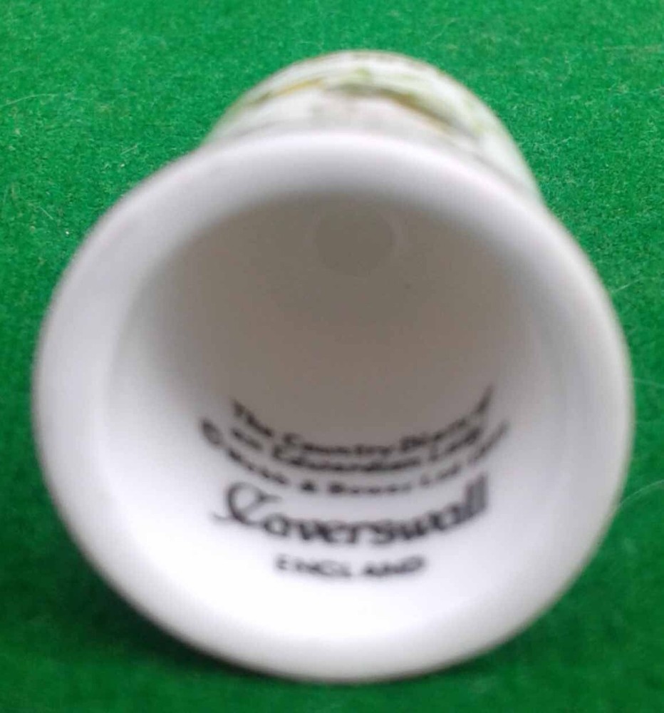 9 CAVERSWALL BONE CHINA THIMBLES.
