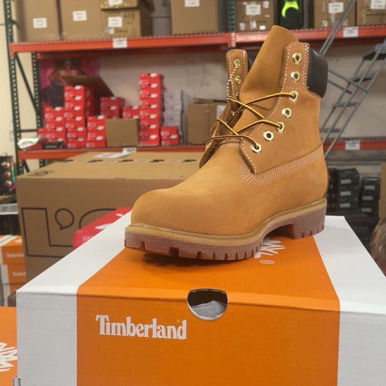 NEW Timberland 6 Inch Boot Wheat Nubuck Premium TB010061-713 Men's Sz 6-13