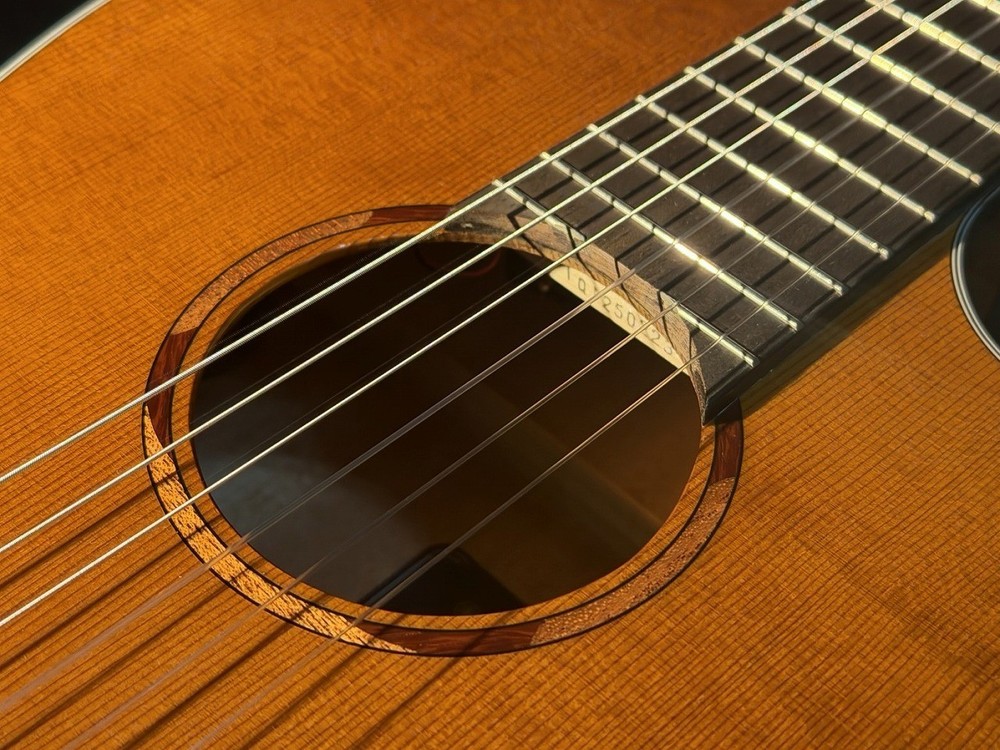 YAMAHA USED NCX1C