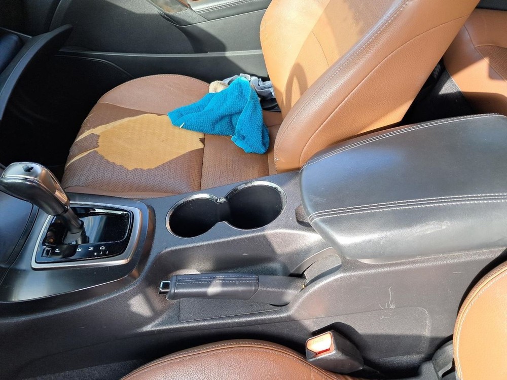 GENESIS 2015 Glove Box 4775666