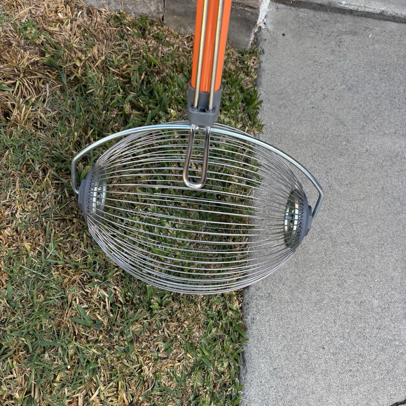 Nut Gatherer Pecan Acorn Golf Ball Harvester Garden Roller Picker