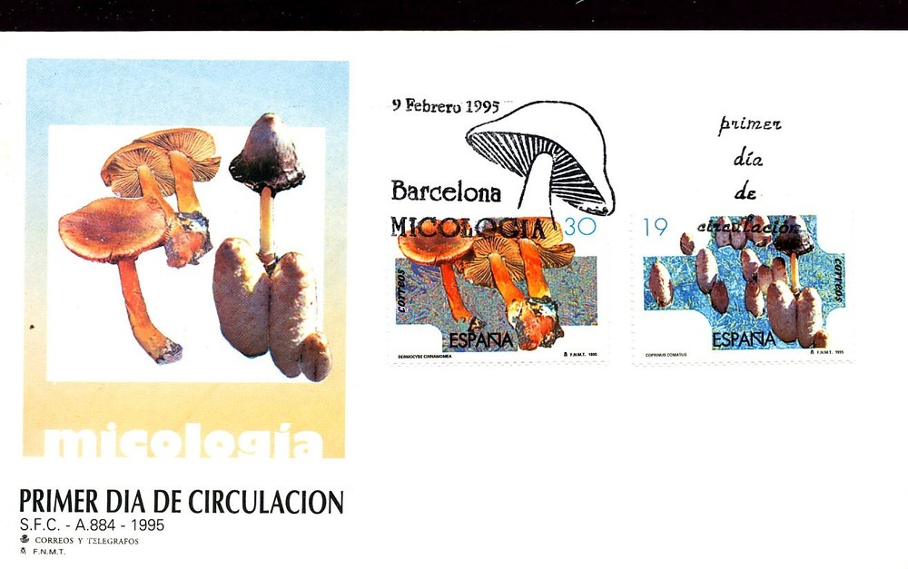 MYCOLOGY MUSHROOMS 1995 SPAIN FDC