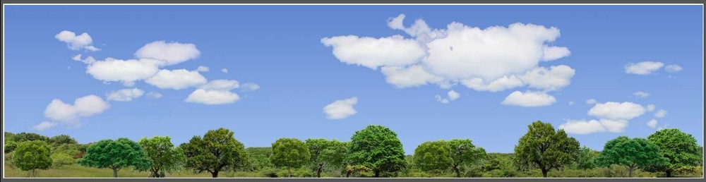 TRACKSIDE BACKDROP #471 Trees and sky HO Scale