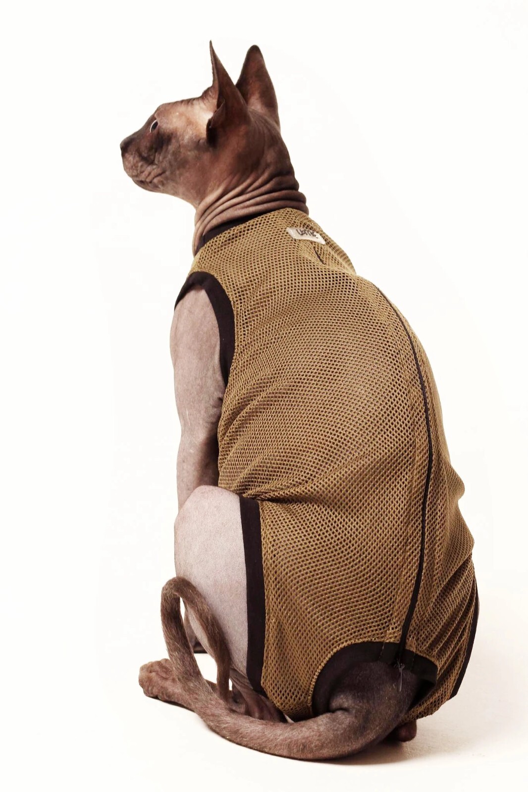 Washable Cat Diaper, Cat Stud Suit, Allows for Defecating in Litter Box