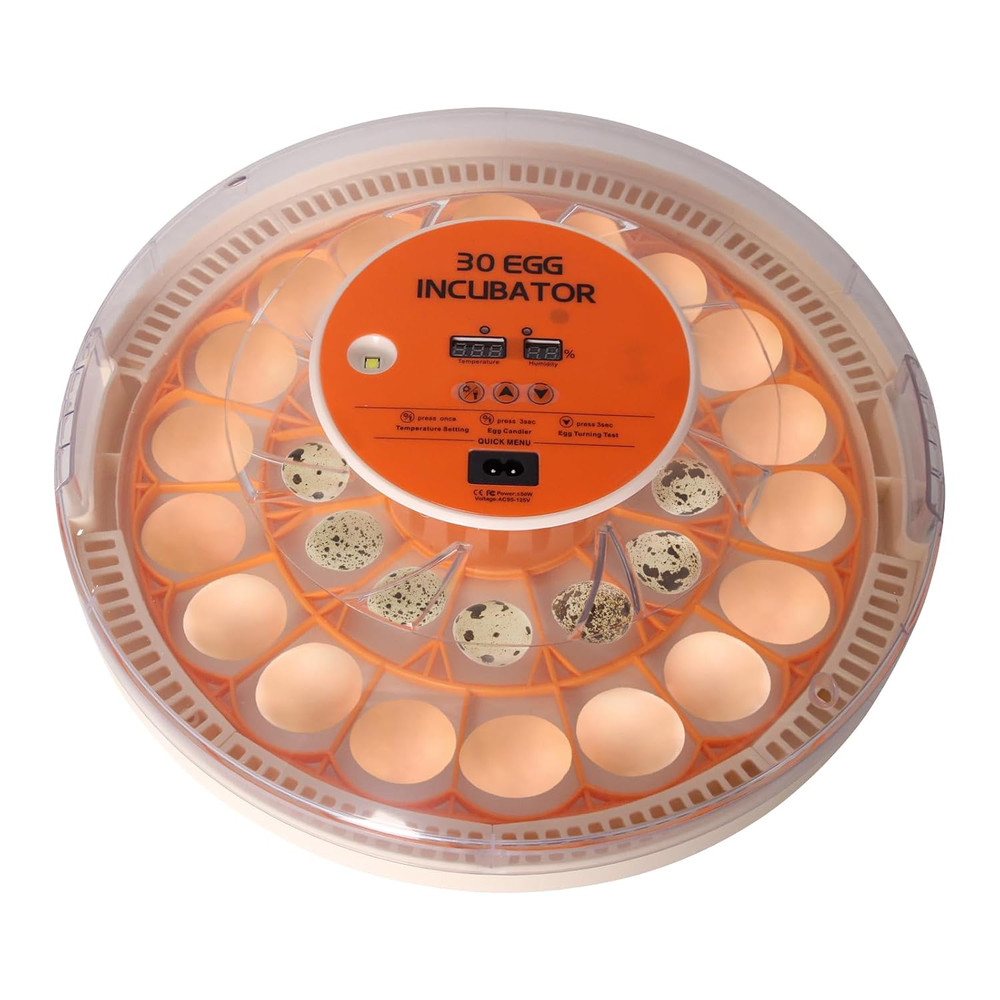 30 Egg Automatic Incubator with Thermometer, Humidity Control & Egg Candler