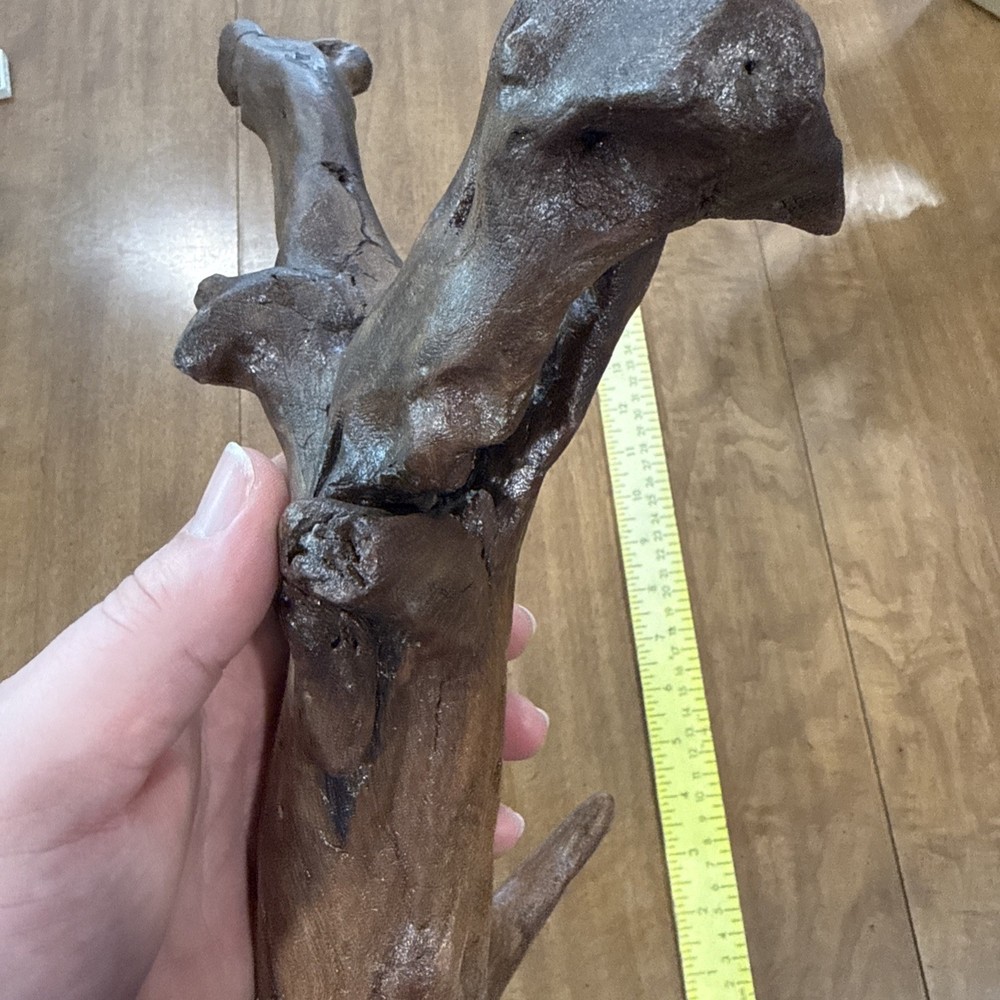 Driftwood Art Or Decoration