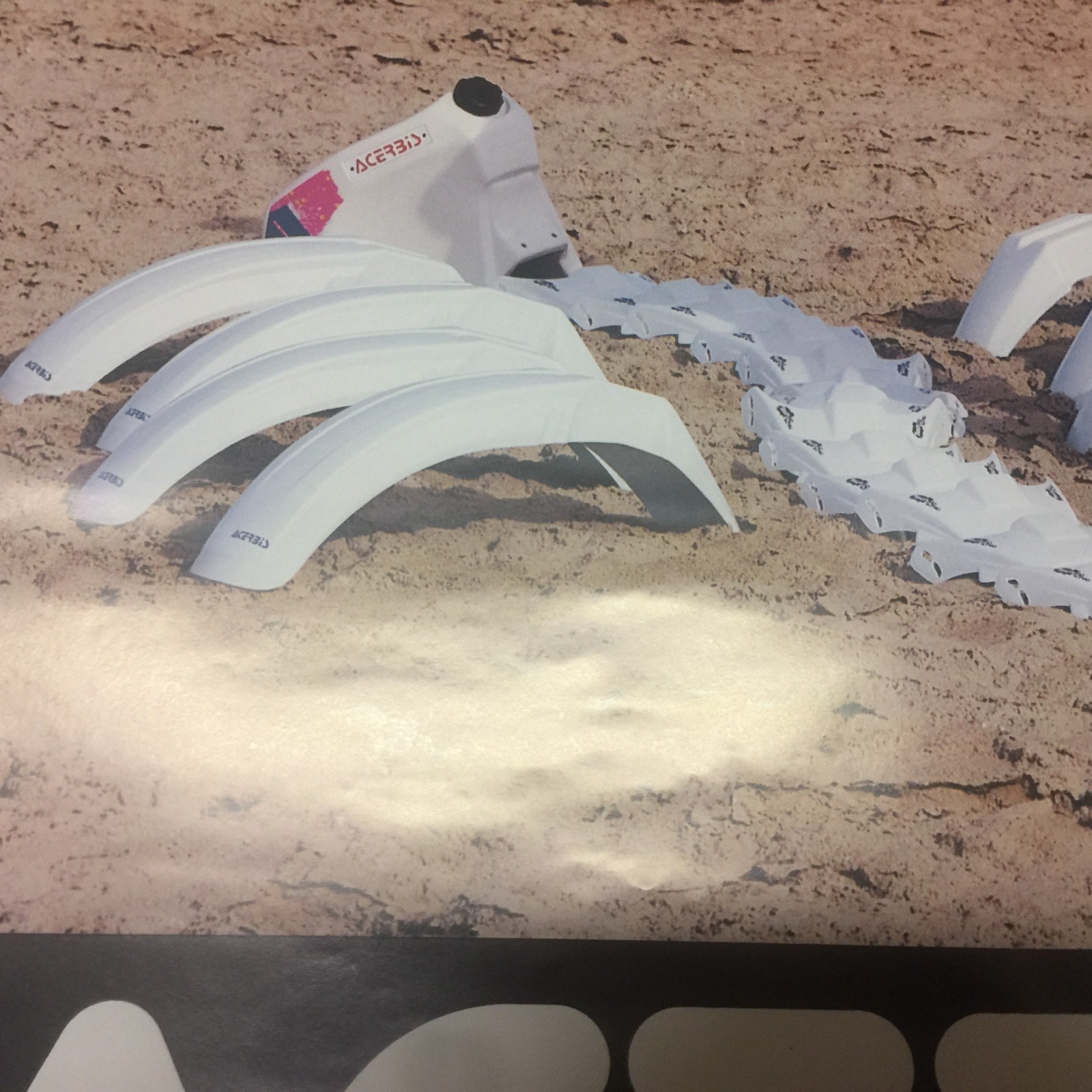 Acerbis Plastic Motocross Poster Model Leah Turner