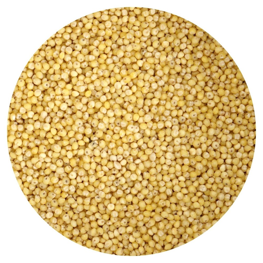 Organic Hulled Millet, 5 Pound Bulk Bag, Hampton Distribution