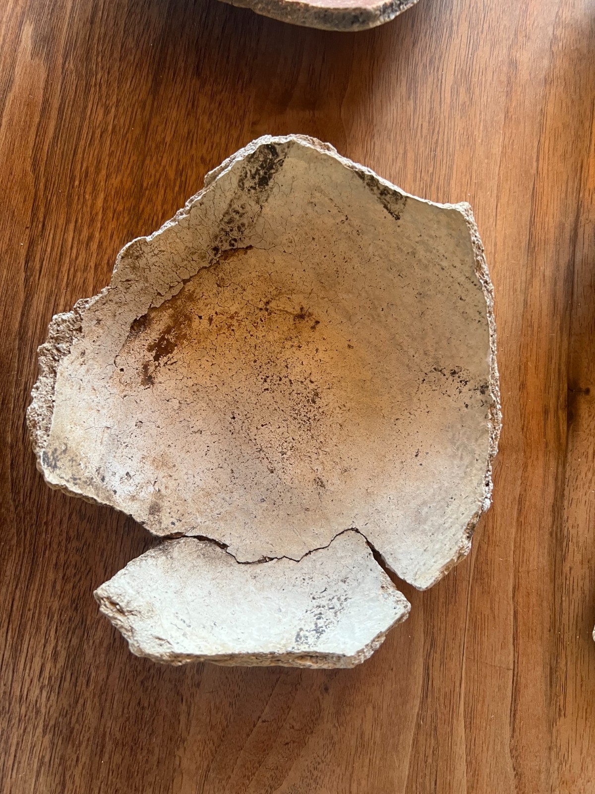 12 Striking Anasazi Pottery Sherds, Red, Black on-White, large fragments