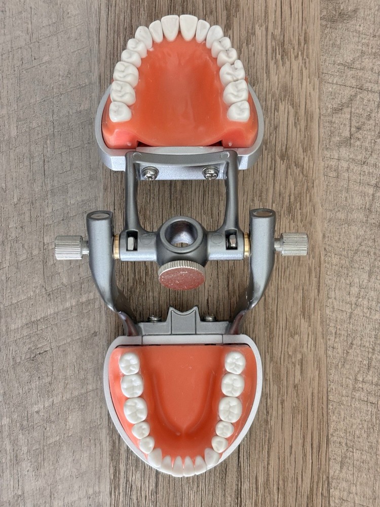 Acadental ModuPRO Typodont One & Practice Kit with Removable Teeth