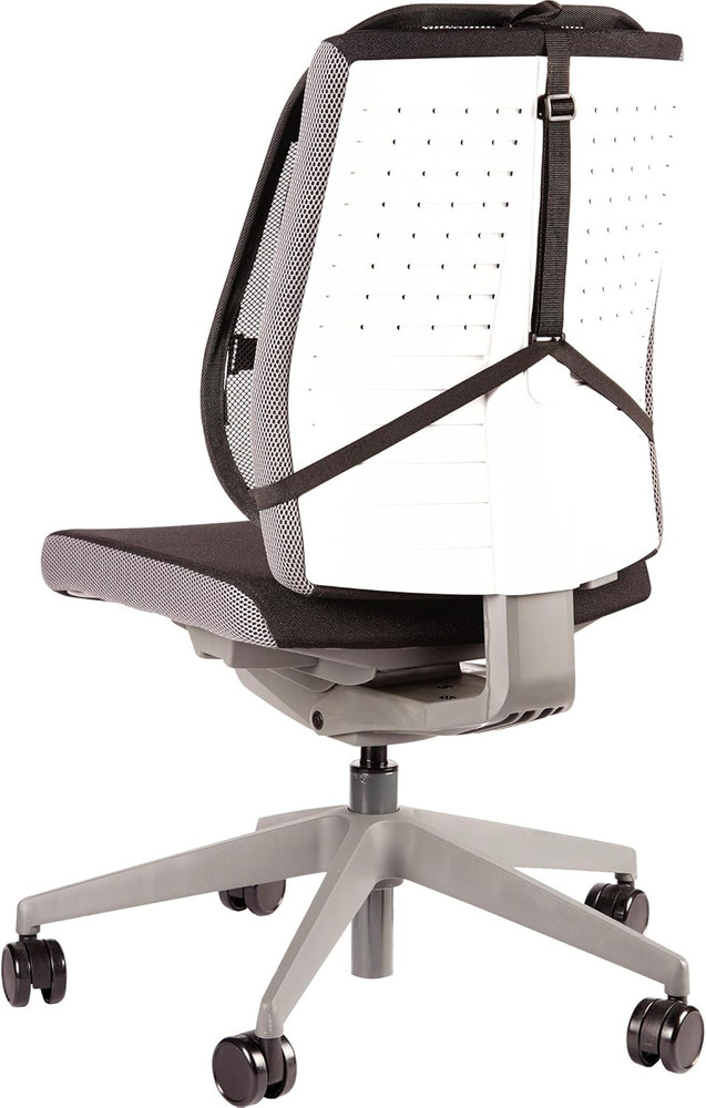 Office Suites Back Support, Graphite (9191301)