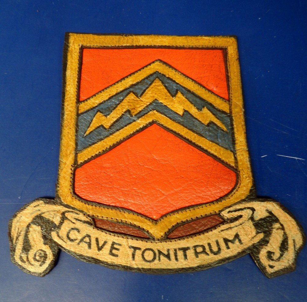 ARMY AIR FORCES 56TH FIGHTER GROUP LEATHER SQUADRON PATCH
