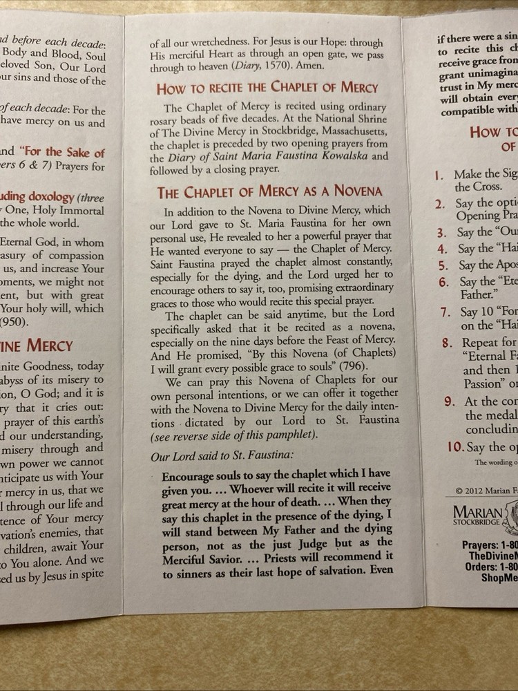 Divine Mercy Novena And Chaplet Rosary Companion Prayer Booklet Pamphlet