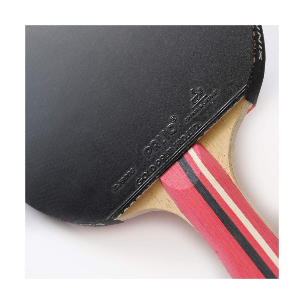 Palio Master 3.0 Table Tennis Racket & Case - ITTF Approved Intermediate Ping...