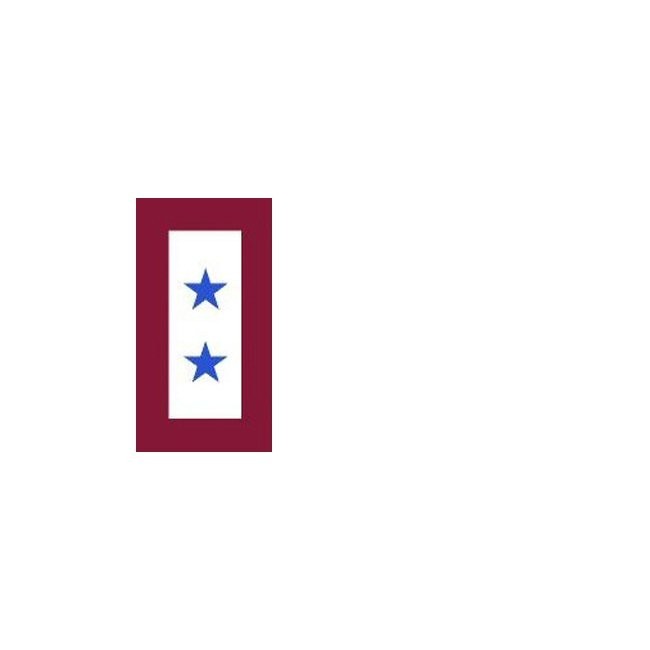 Two Blue Stars Service X-Large Magnet