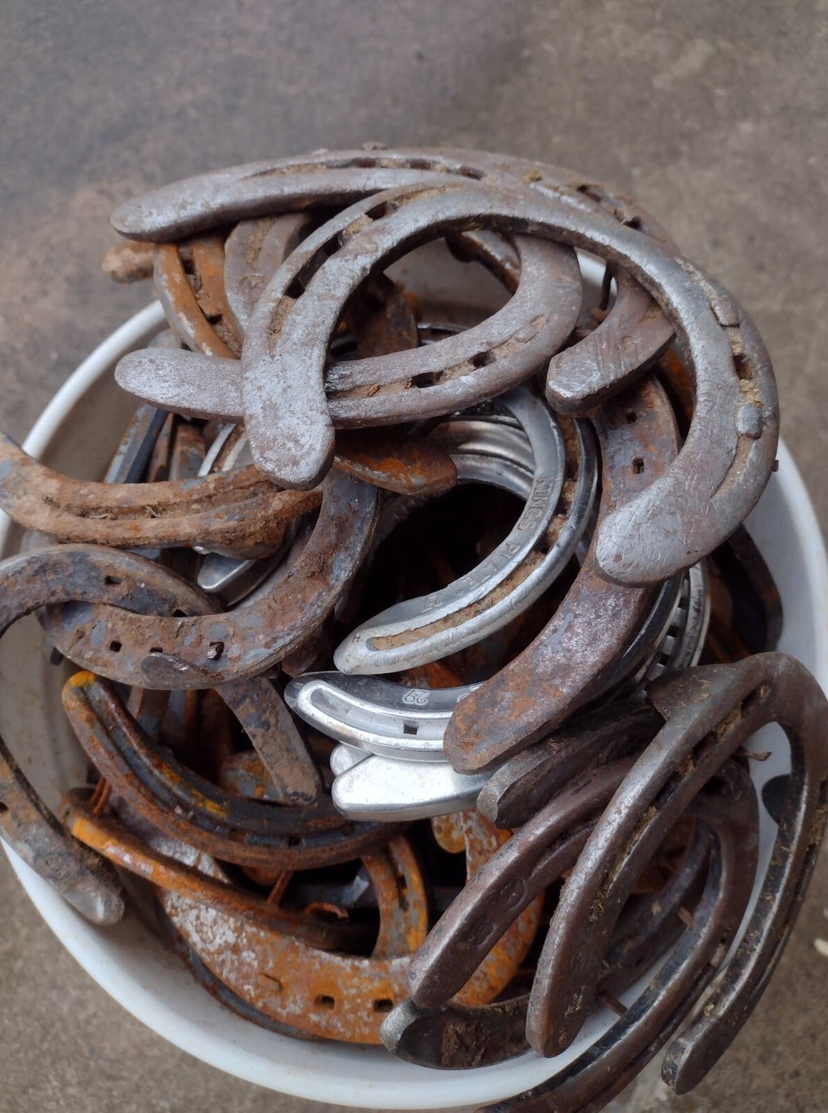HORSESHOES -40 USED STEEL OKLAHOMA HORSESHOES - Horse Shoe - SHIPS FAST!