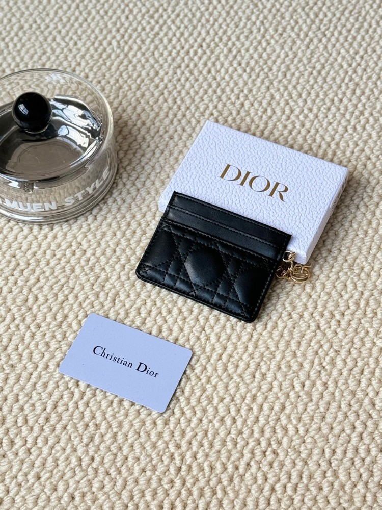 Dior makeup bag