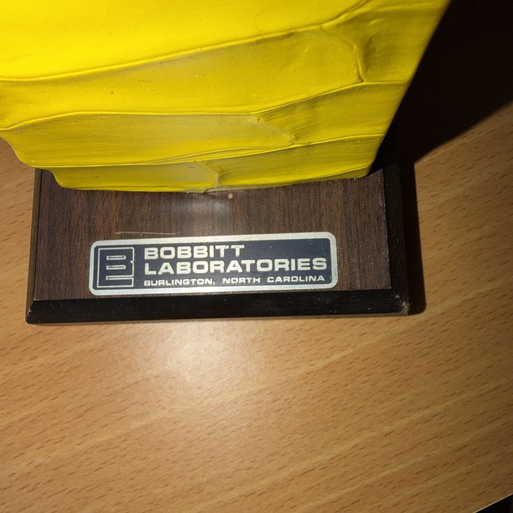 Bobbitt Dicot Plant Stem Model