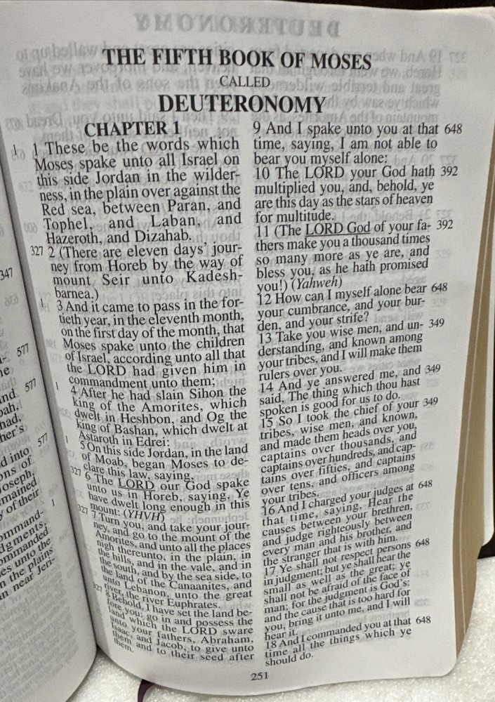 Holy Subject Bible Topical Study & Reference Edition Word Clarification Daystar